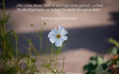 "Alle Liebe dieser Welt ist auf Eigenliebe gebaut. Ließest Du die Eigenliebe, so ließest Du leicht die ganze Welt."  Eckhart von Hochheim