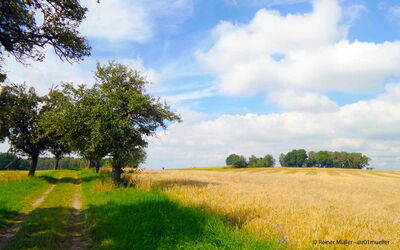 Hypnosetherapie wirkt bei Ängsten, Panikattacken und Phobien